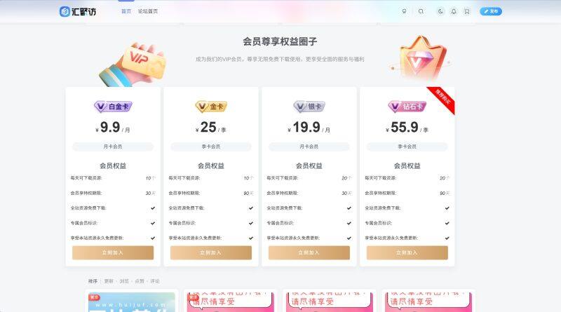 子比主题 - 首页VIP购买小工具(第二版)-汇聚访