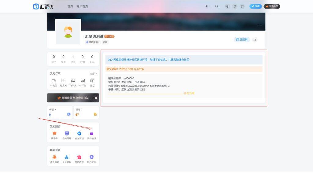 图片[3]-子比主题 – 用户中心我的投诉页面（三款）-汇聚访